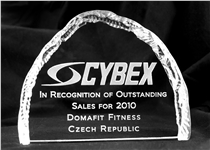 Domafit Fitness, předchůdce FITBAU, s.r.o. získal cenu za nejlepší prodej výrobků CYBEX za rok 2010!