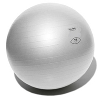 FIT Ball Pro 75cm stříbrný